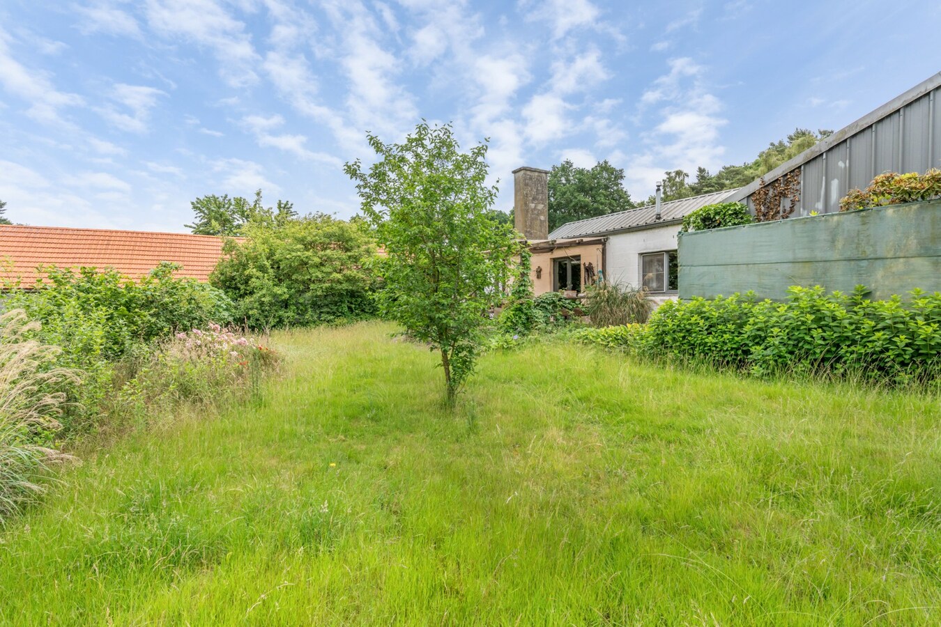 Uniek gelegen woning aan de bosrand op een perceel van 36a67ca waarvan 22a82ca geschikt is als paardenweide! 