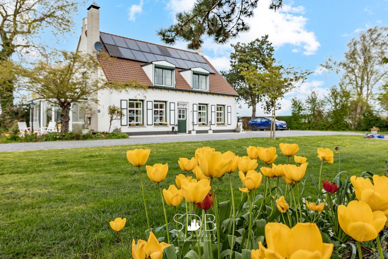 Te koop - Boerderij - Ijzendijke