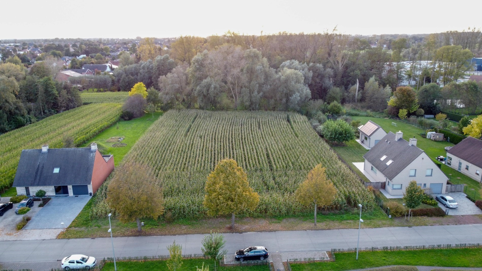 Perceel bouwgrond in Olsene – zonder bouwverplichting! 