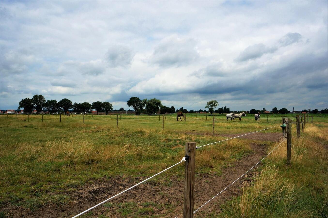 Ferme vendu À Merksplas