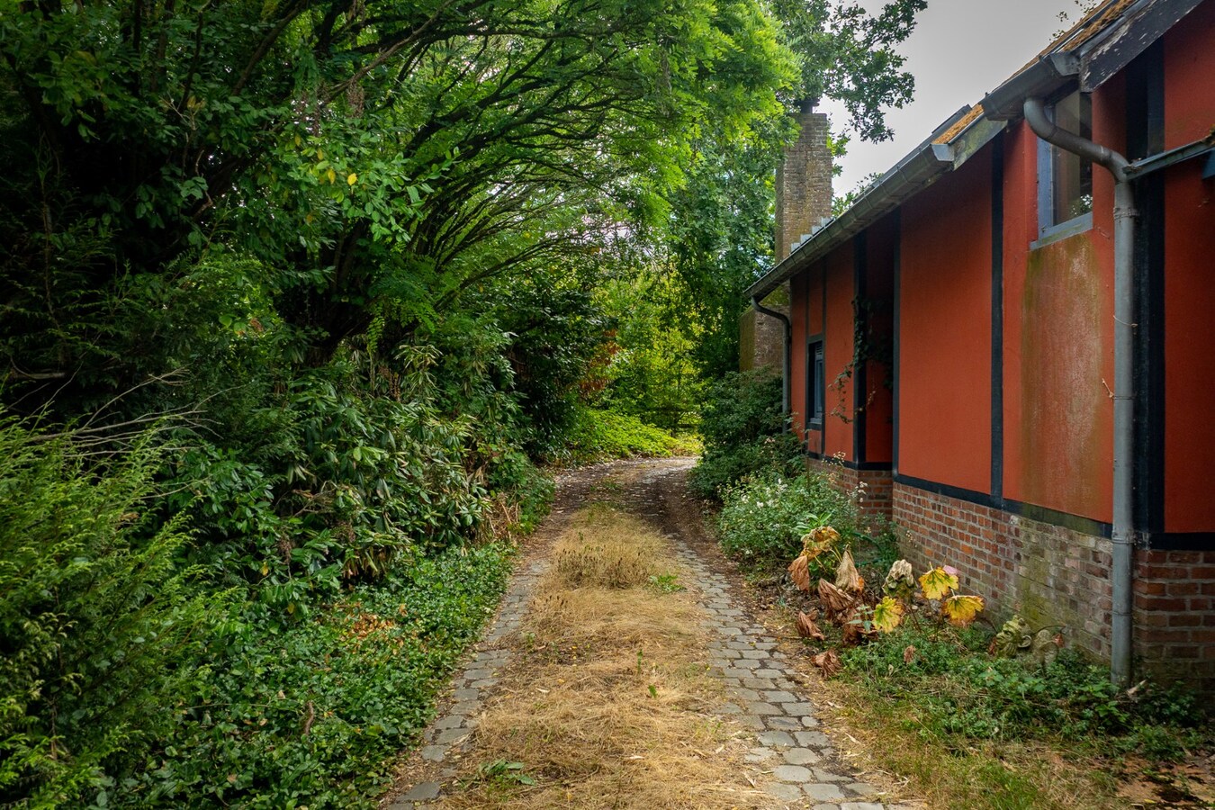 Karaktervolle hoeve met weides op ca. 2ha te Herk-de-Stad 