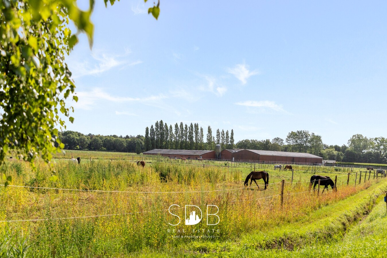 Boerderij met paardenfaciliteiten en graslanden op 14.490m² 