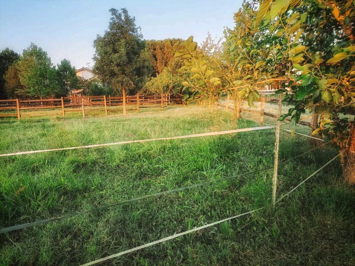 Landelijke hoeve met paardenfaciliteiten op ca. 1,3ha te Riva del Po (Noord-Italië) 