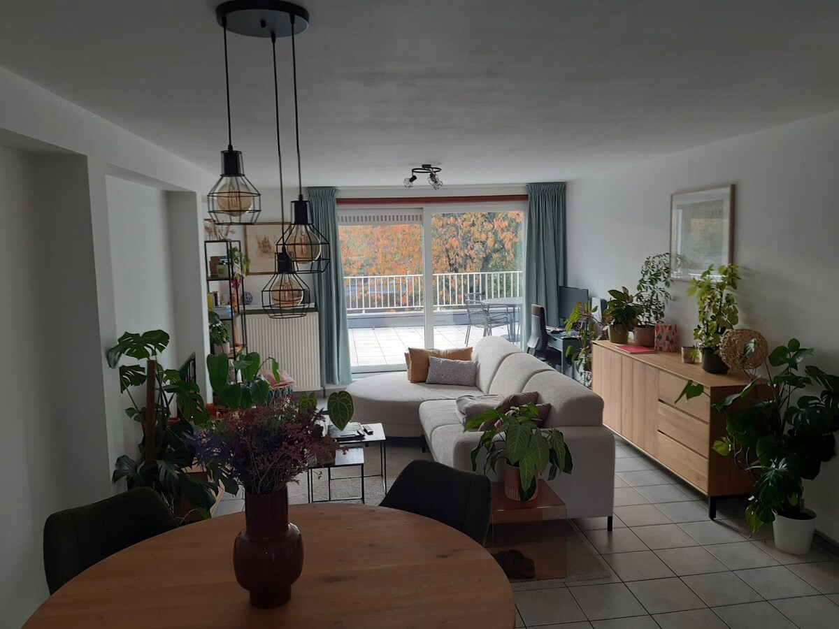 Aangenaam 1-slp-appartement met ruim terras. 