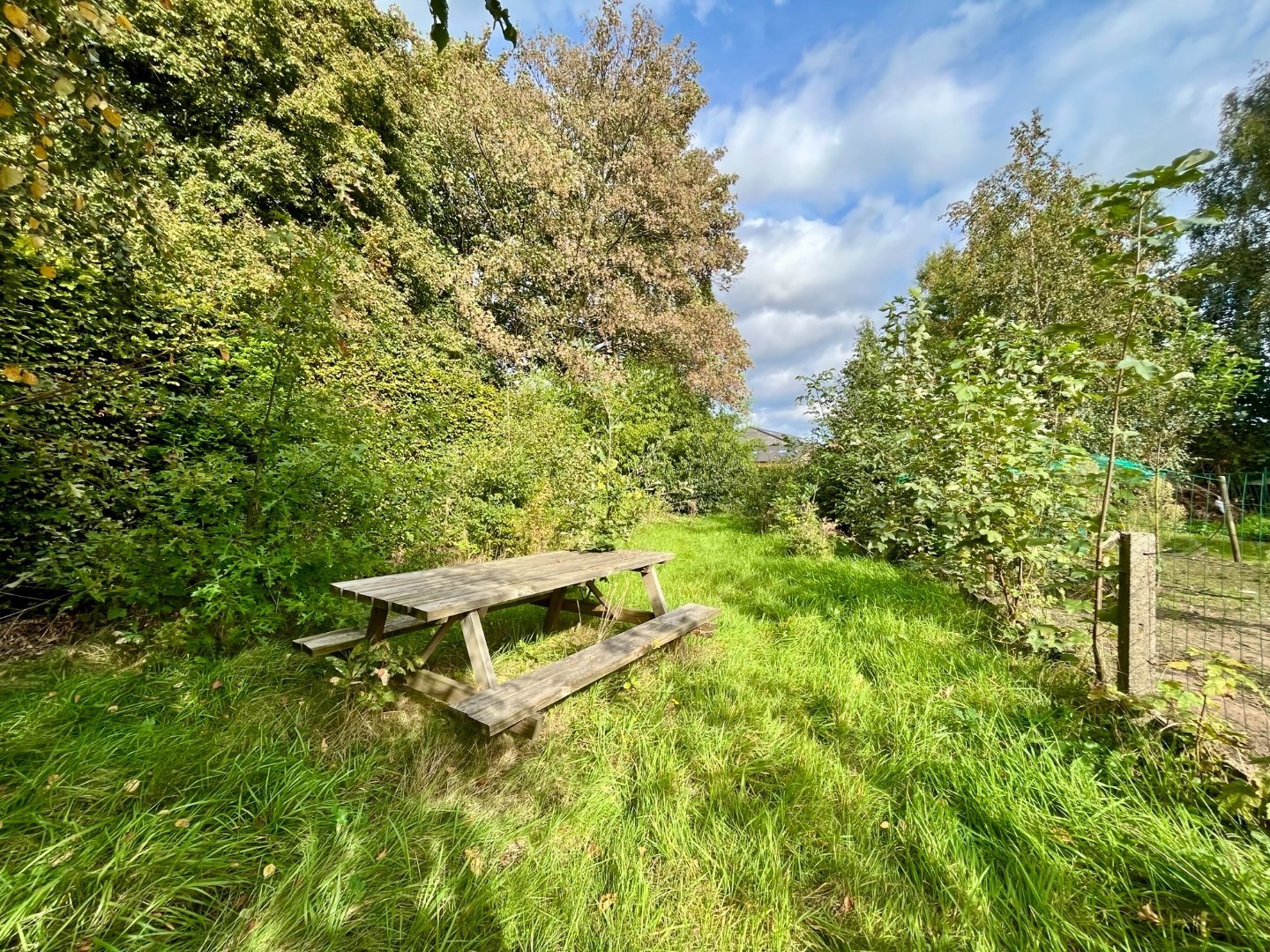 Ruime gezinswoning met grote tuin nabij het centrum van Larum 