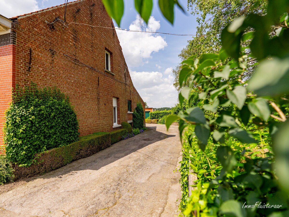 Characteristic long farmhouse with barn on approximately 4.6 hectares in Rijkevorsel. 