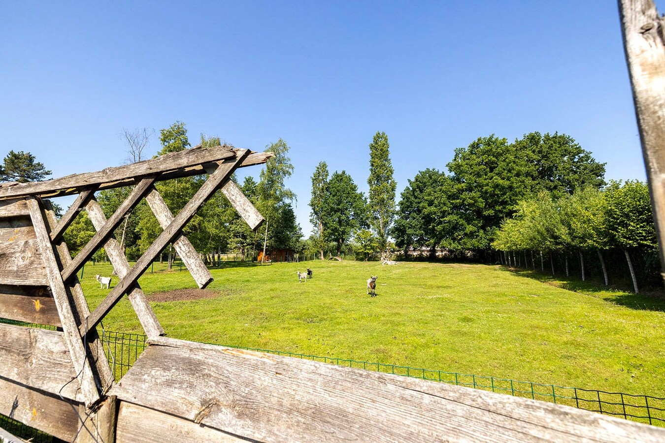 Ruime woning met tuin - 4 slpks - ideale locatie 