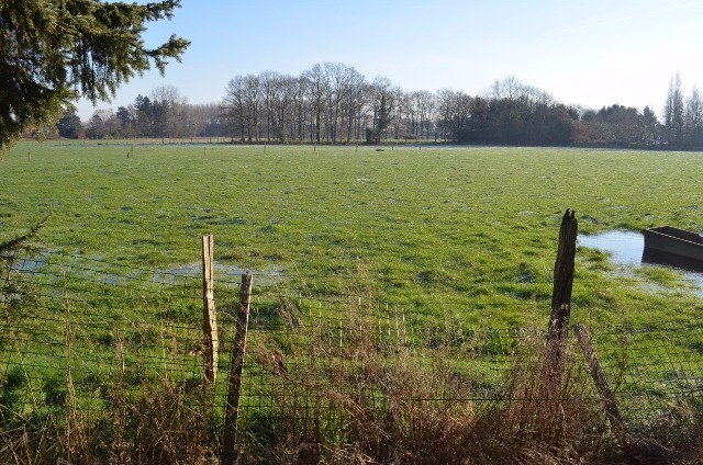 Grondig te renoveren / herop te bouwen woning op 329m² te Maldegem 