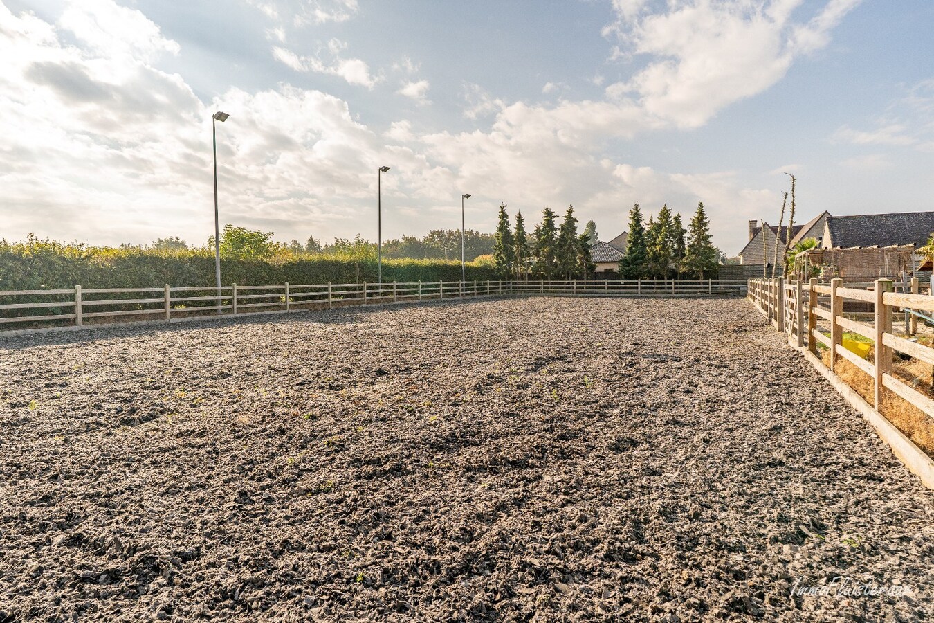 Charmante woning met stallen, buitenpiste en weide  op ca. 2 ha te OUDENBURG 