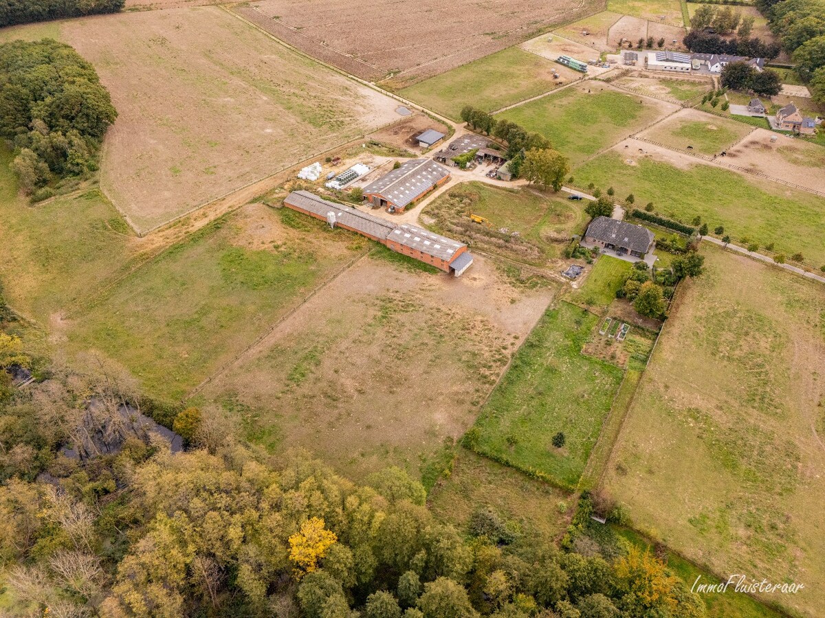 Unieke eigendom met veel potentieel en uitbreidingsmogelijkheden op ca. 4 ha in Gruitrode (Oudsbergen) 