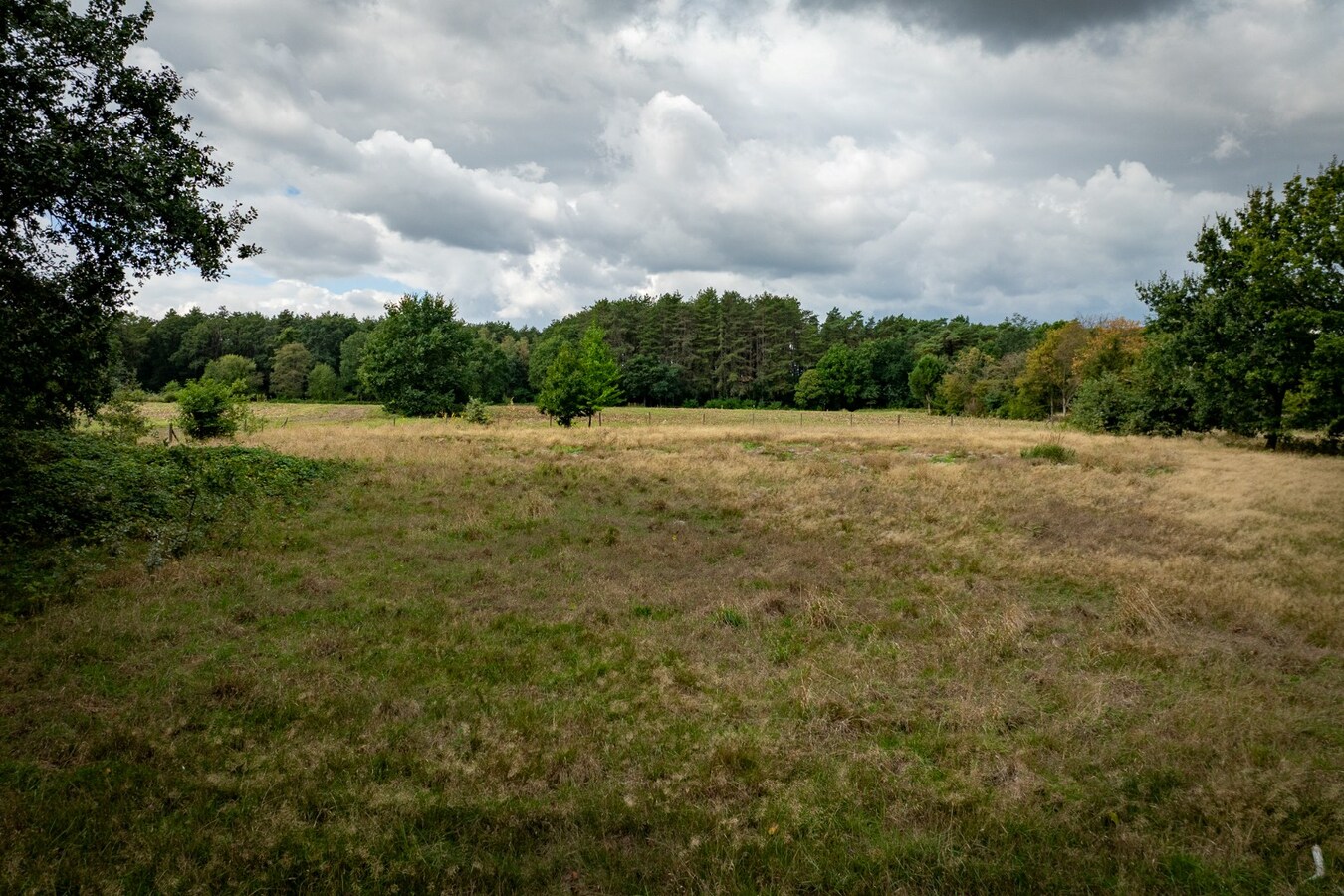 Authentic farm with meadow on approximately 1ha in Ham 