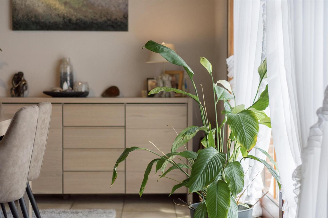 Instapklare woning op centrale ligging te Lochristi 