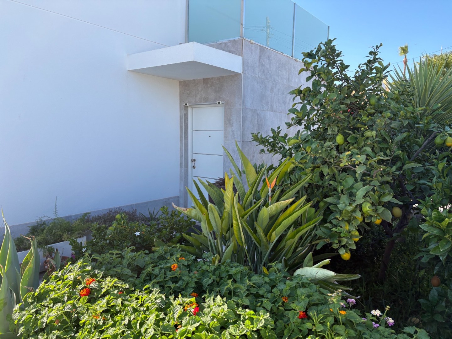 Volledig gerenoveerde vrijstaande villa met privézwembad in Torrevieja – Torreta Florida 