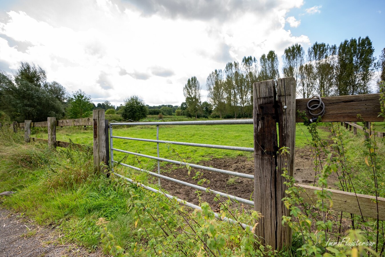 Propriété équestre avec maison à rénover à ca. 90a à Wonck (Bassenge). 
