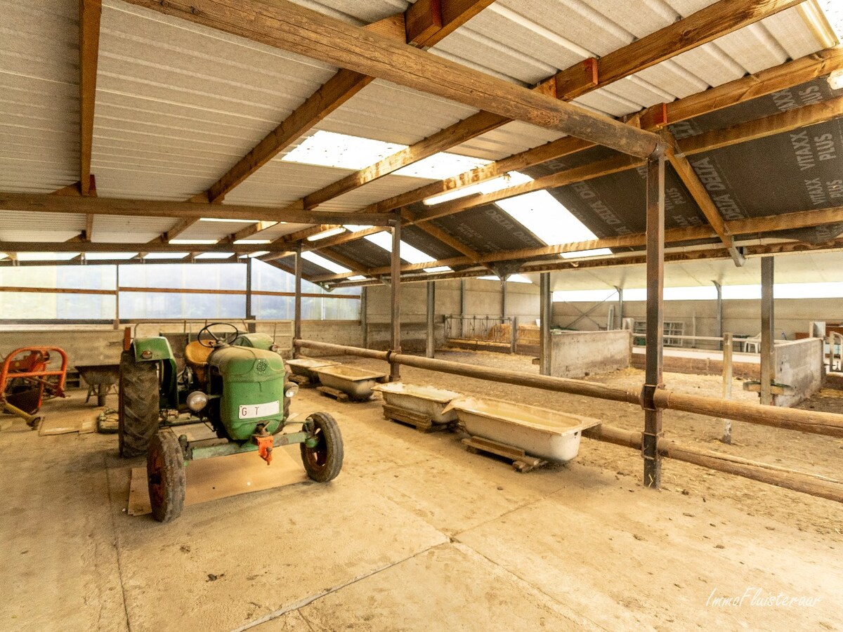 Maison spacieuse avec bâtiment d'écurie et prairies sur environ 3,8 hectares à Berlaar. 