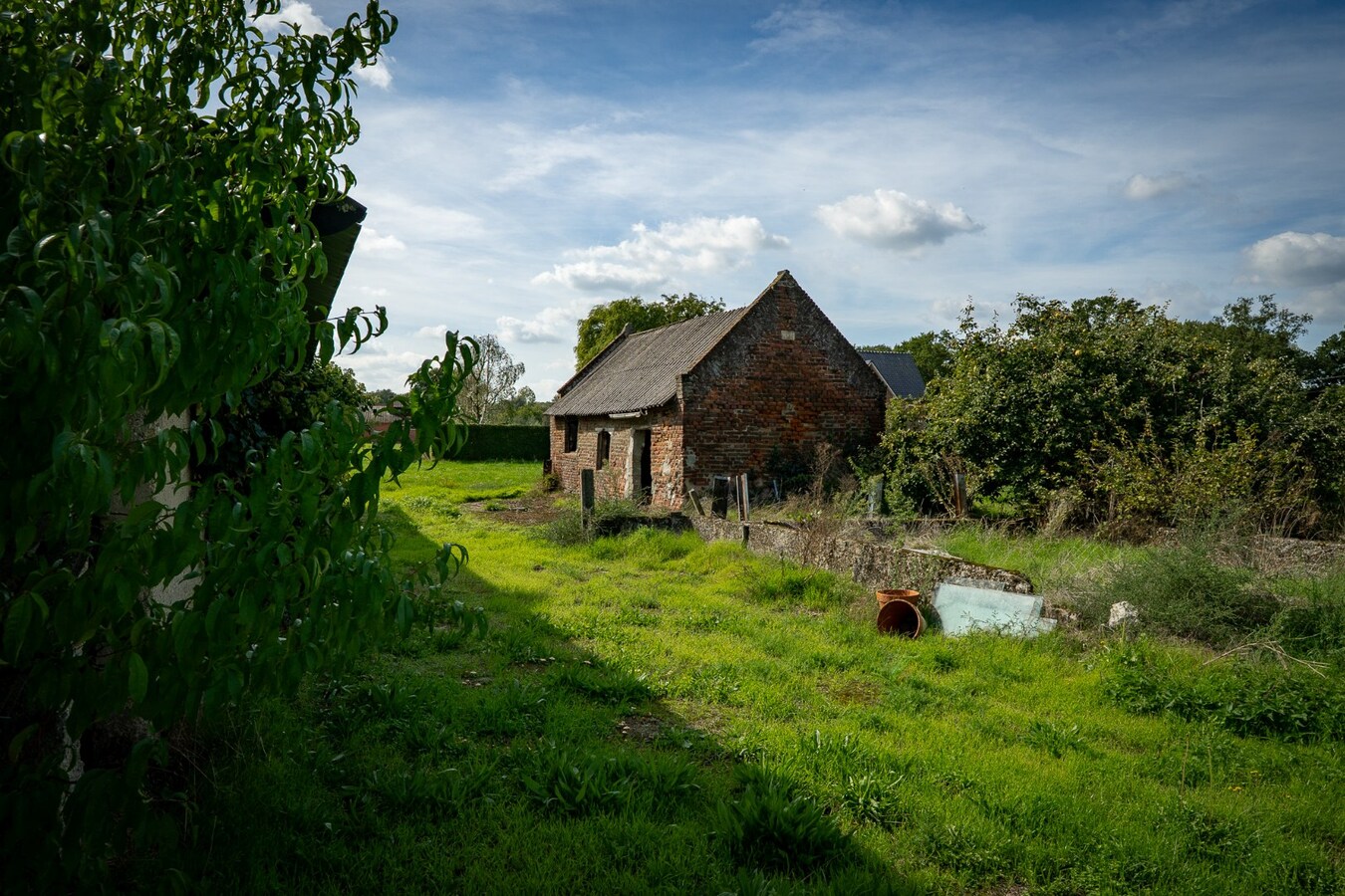 Hoeve met stalgebouwen op ca. 1ha te Bree 