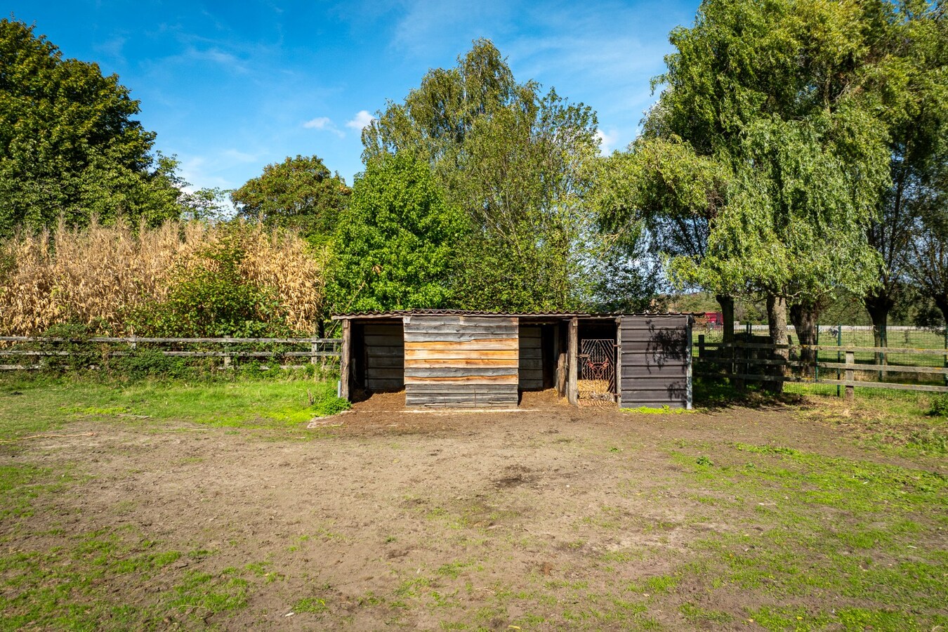 Renovated farmhouse with pasture on approximately 2 hectares in Veldegem. 