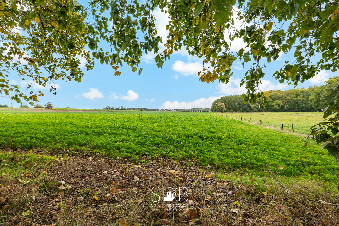 Authentieke hoeve met achterliggend groen op 5.192m² 