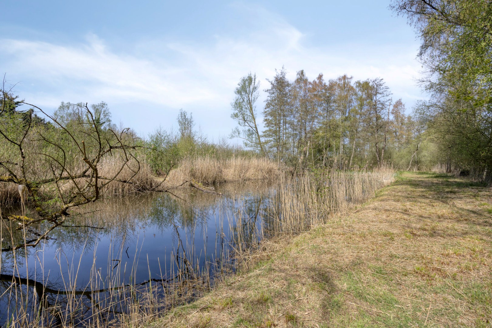 Prachtig perceel met vijvers op unieke ligging in Geel 