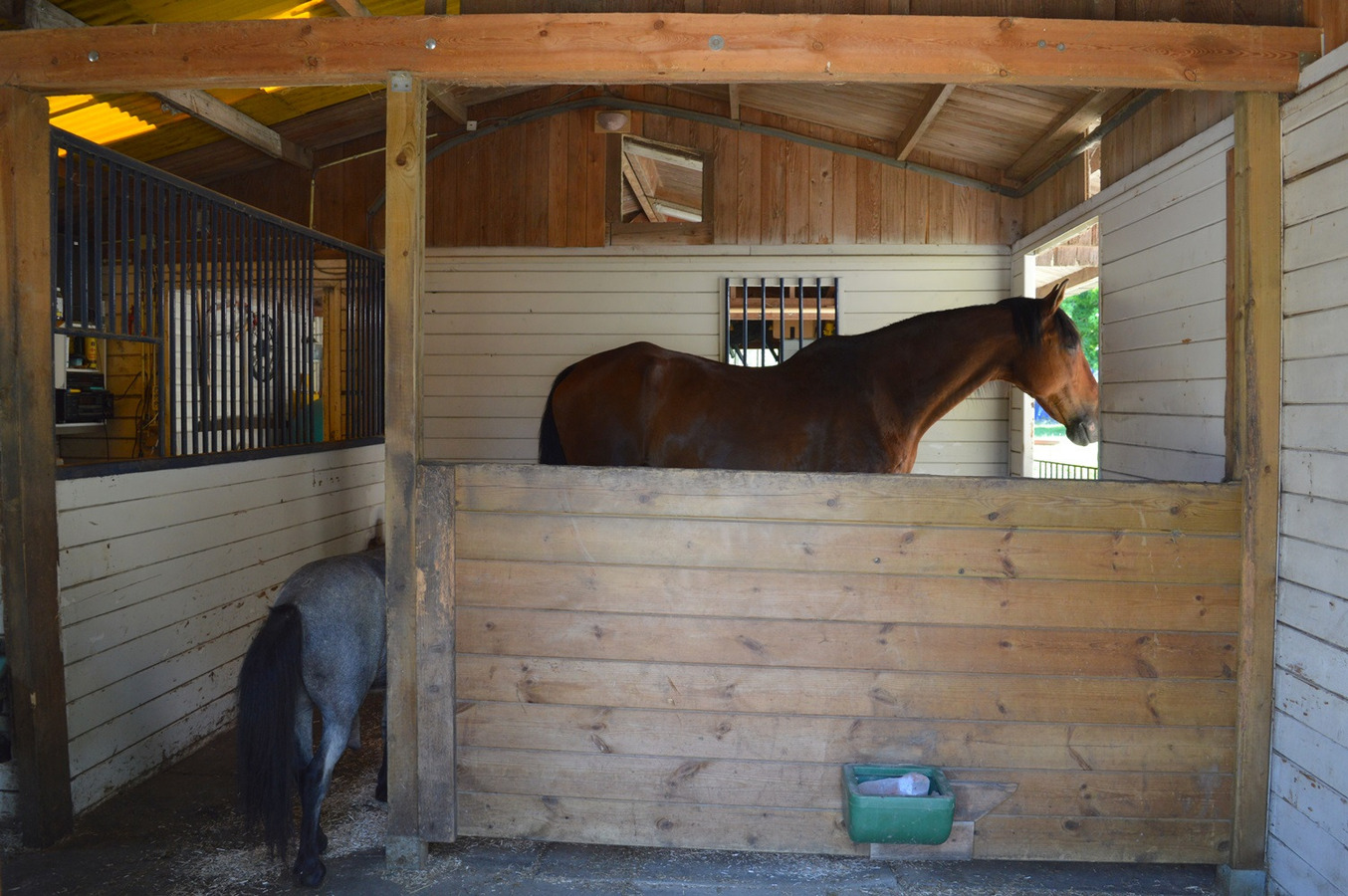 Mooie gezinswoning met stalgebouw en piste op ca. 5400m² te Dworp 