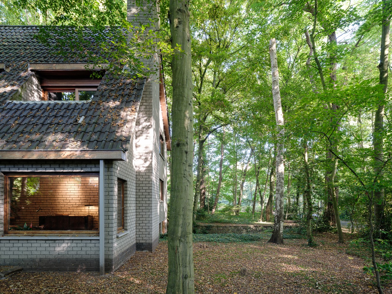 Jaren ‘70 villa in het bos 