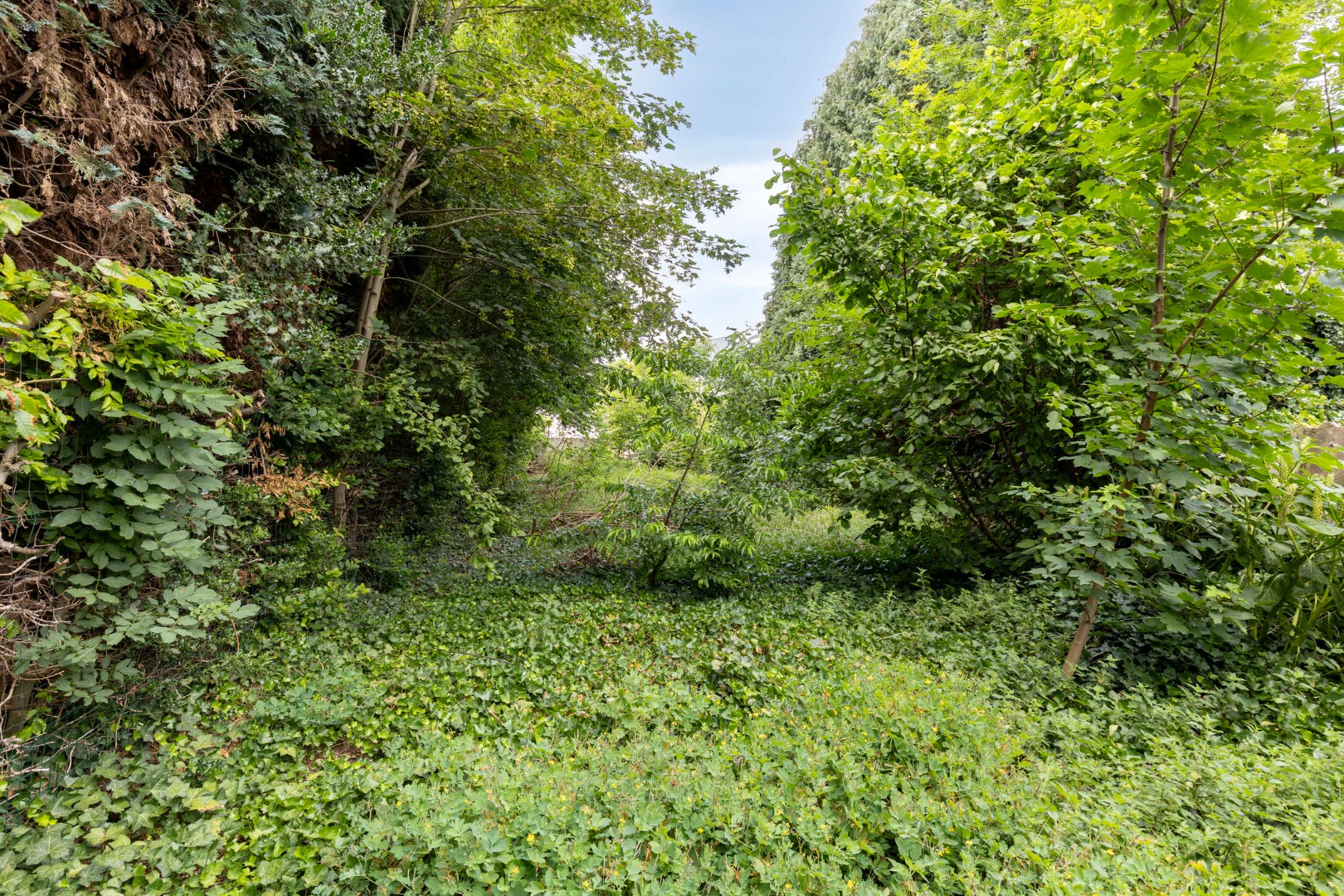 Te renoveren stadswoning in hartje Geel 