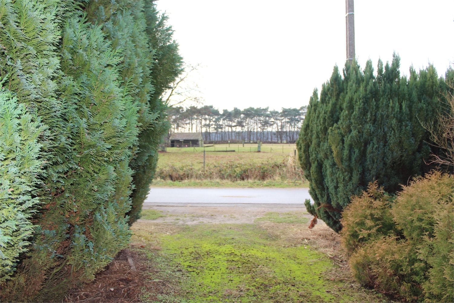 Grond verkocht in Stekene