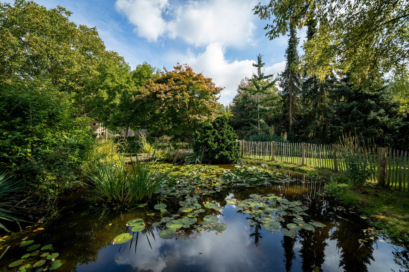 Ruime woning met weide en paddock op ca. 1ha te Bocholt 