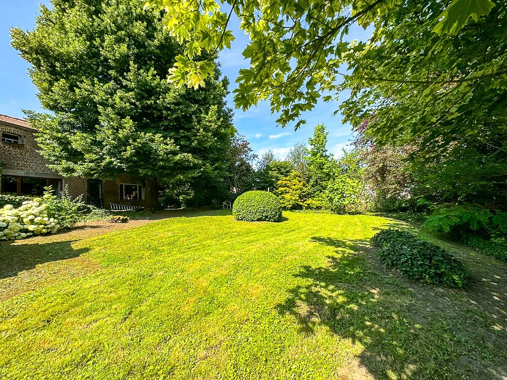 Grand espace professionnel avec maison de style en semi plain-pied, érigés sur 1800m² ! 