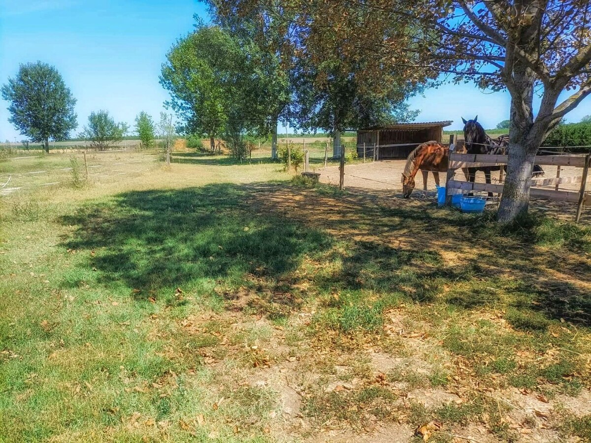 Landelijke hoeve met paardenfaciliteiten op ca. 1,3ha te Riva del Po (Noord-Italië) 