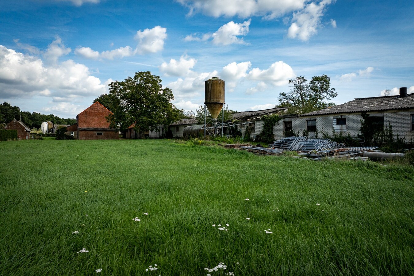 Hoeve met stalgebouwen op ca. 1ha te Bree 