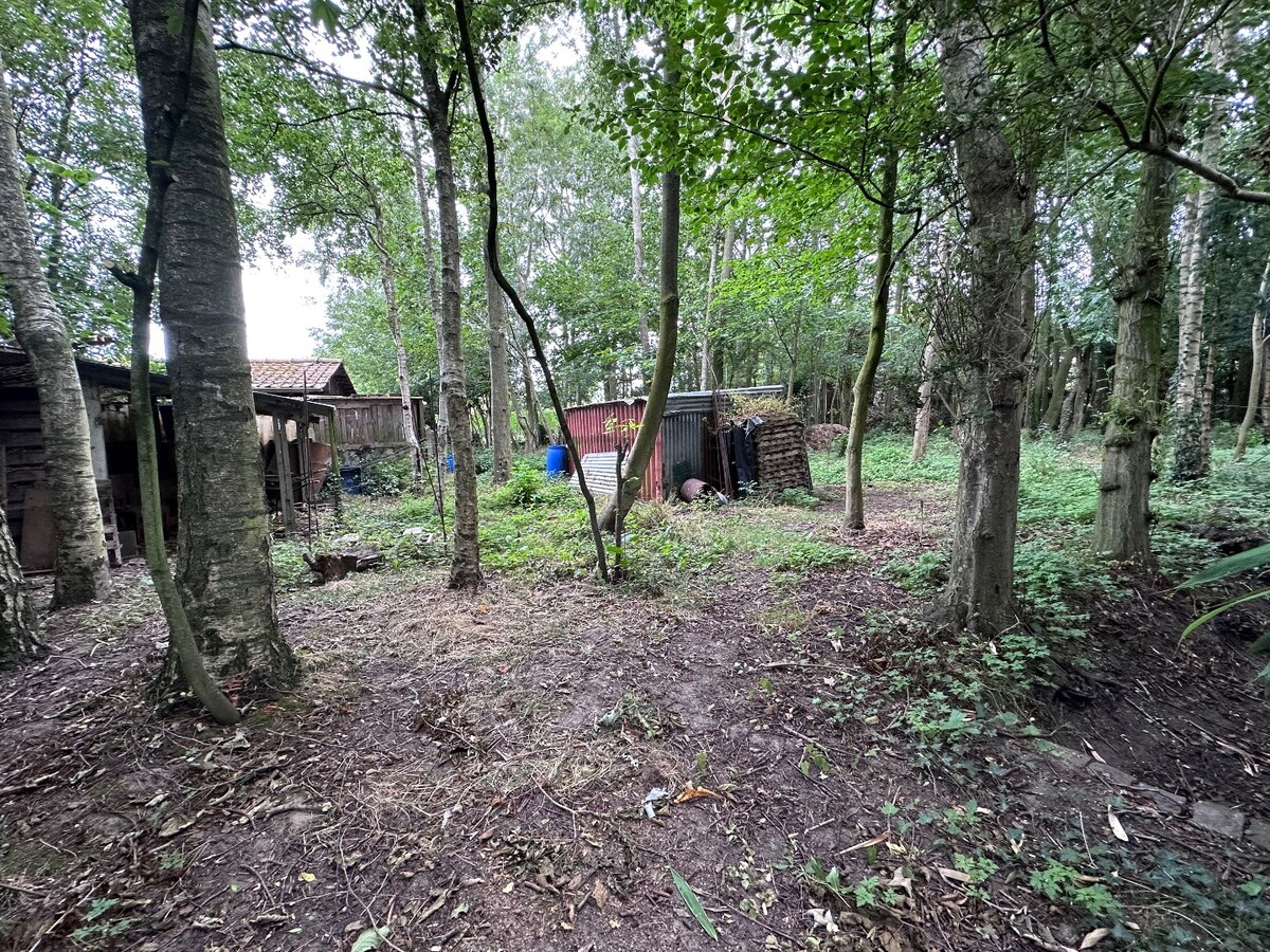 Grond te koop te Koekelare 