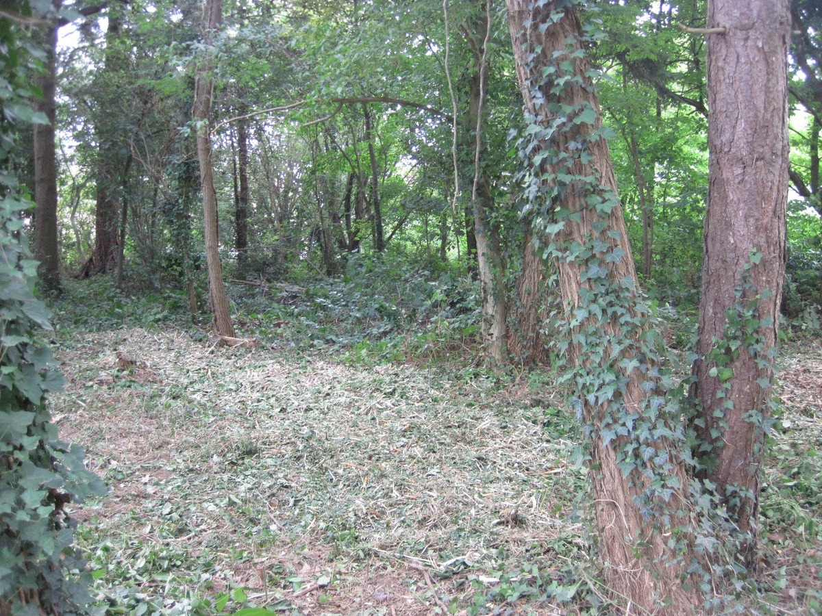 Perceel bouwgrond 748 m2  (Half Open Bebouwing). 