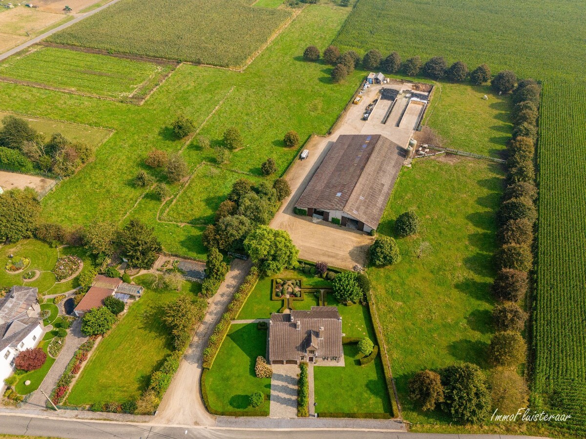 Prachtige villa met een ruim stalgebouw op ca. 2,2 ha te Dilsen-Stokkem 
