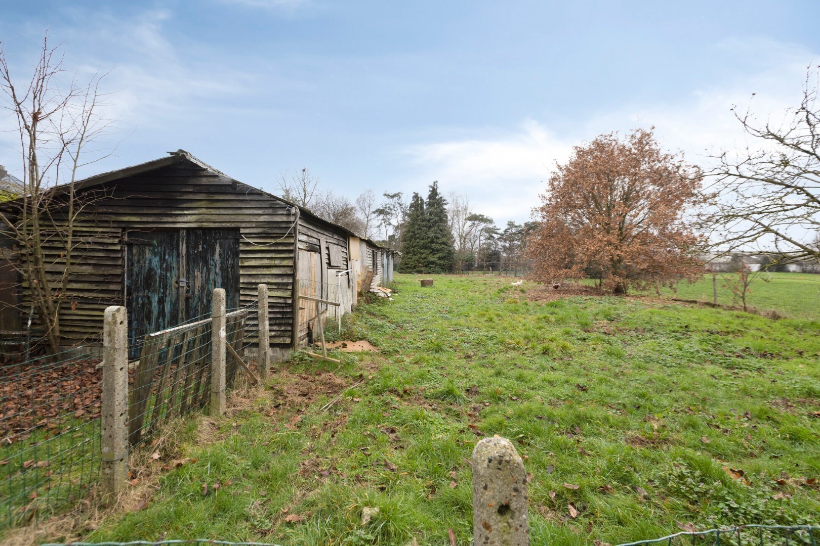 Ruime gezinswoning met 3 slpk. op prachtig perceel van 20a 81ca in Overpelt 