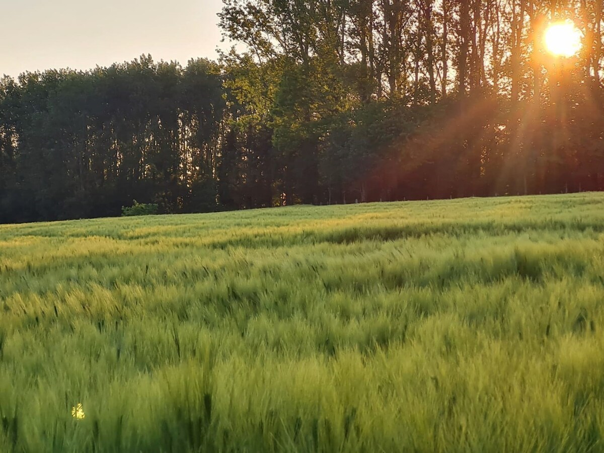 Landelijk gelegen open bebouwing op een uitzonderlijk perceel (1585m²) 