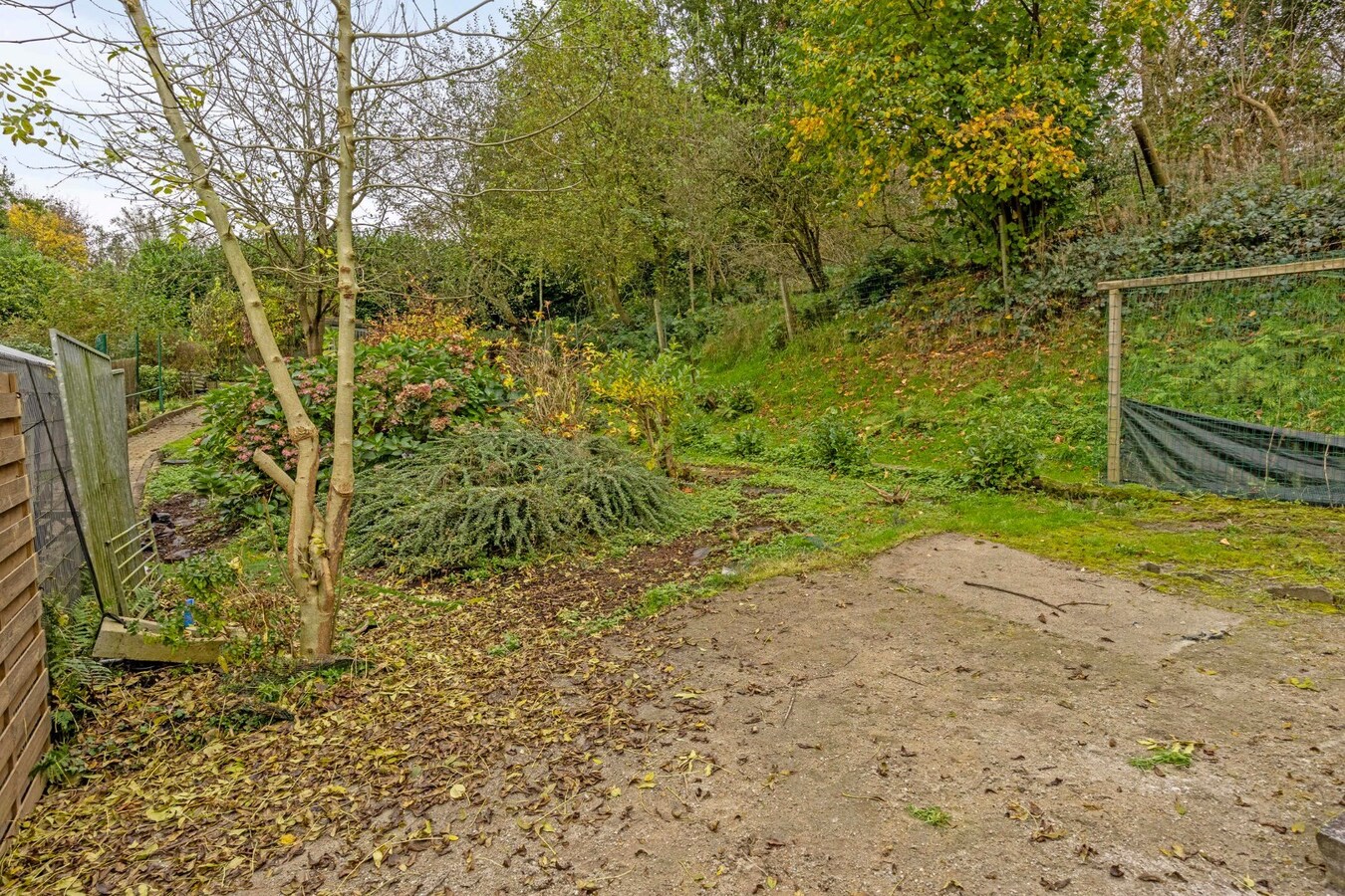 Prachtige villa met 5 slaapkamers in Bertem 