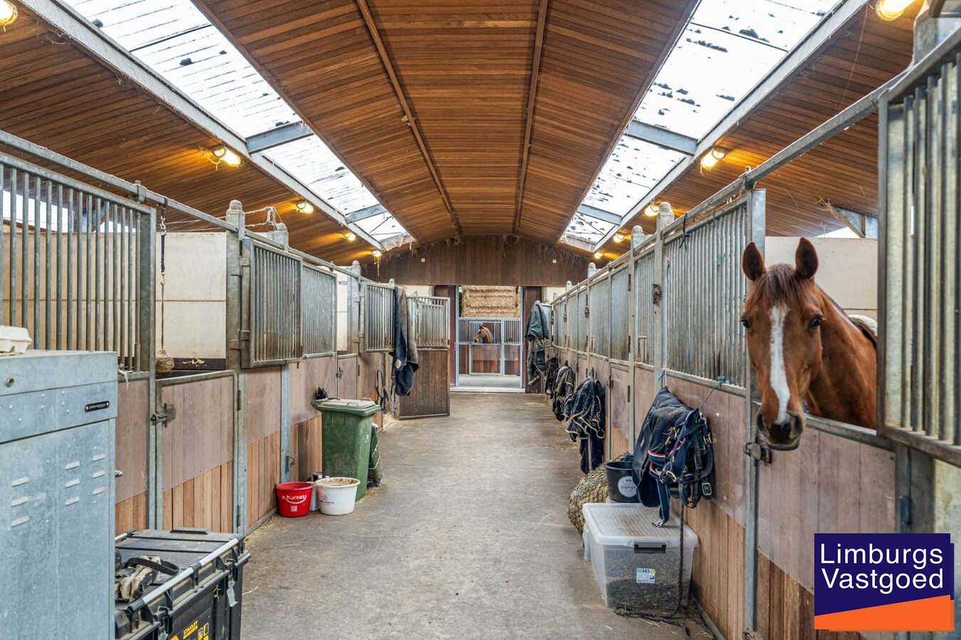 Landelijk gebouwencomplex voor paardenhouderij, op ong. 3ha 50a met stallen, weides/paddock, binnen-en buitenpiste, en woning. 