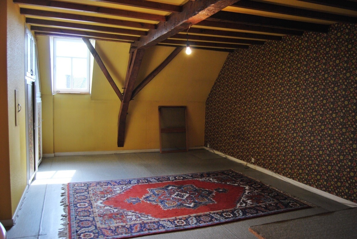 Herenhoeve op 6029m² te Gooik 