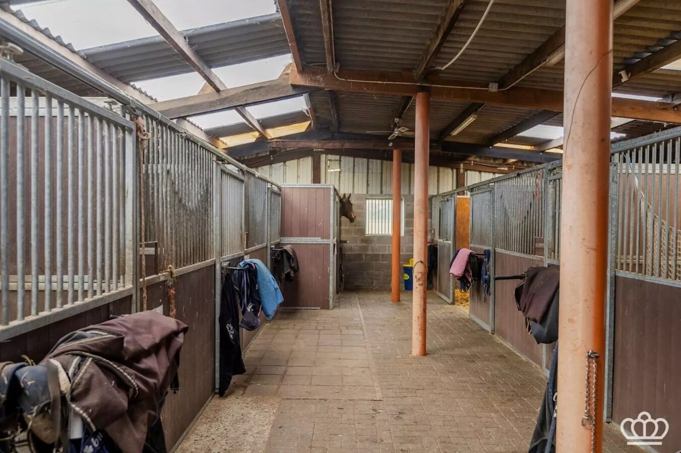 Magnifiquement située, charmante maison avec des installations pour chevaux sur environ 1,8 ha à Essen. 