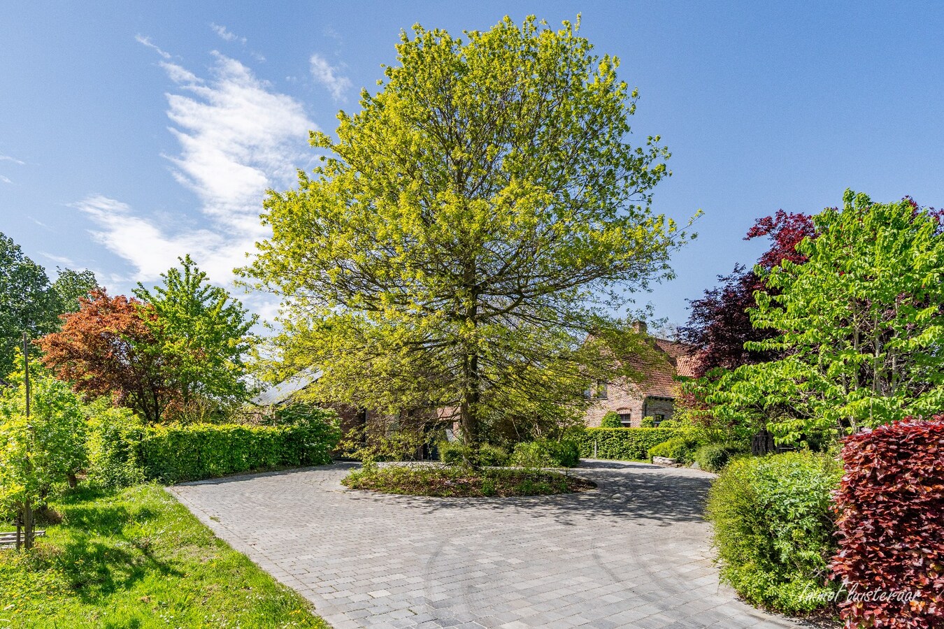 Charmante villa avec bâtiment d'écurie et prairie sur environ 6 700 m² à Hamme. 