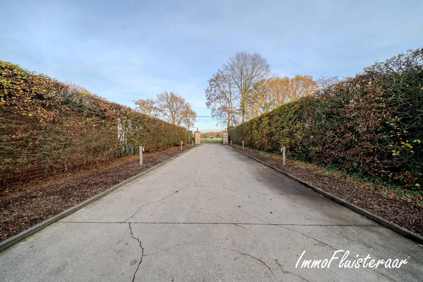 Exclusief Hippisch Complex met Uitstekende Trainingsmogelijkheden op ca 8,6 ha in Wuustwezel 