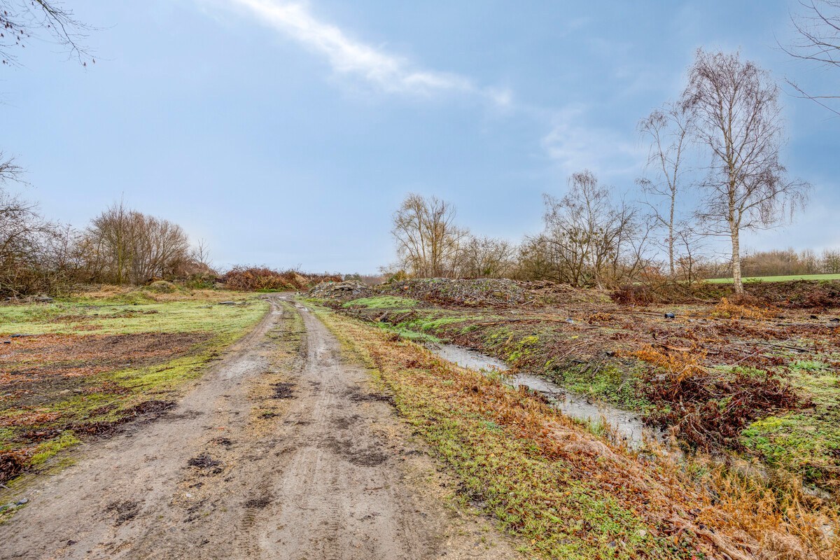 Tuinbouwcentrum met ruime woning op een perceel van 4,26 hectare 