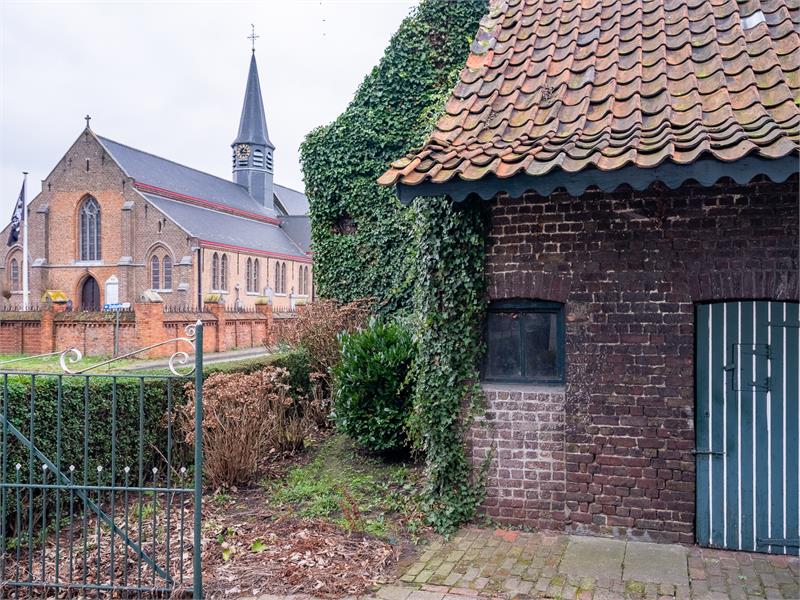 Ruime hoeve met grote schuur en veel potentieel. 