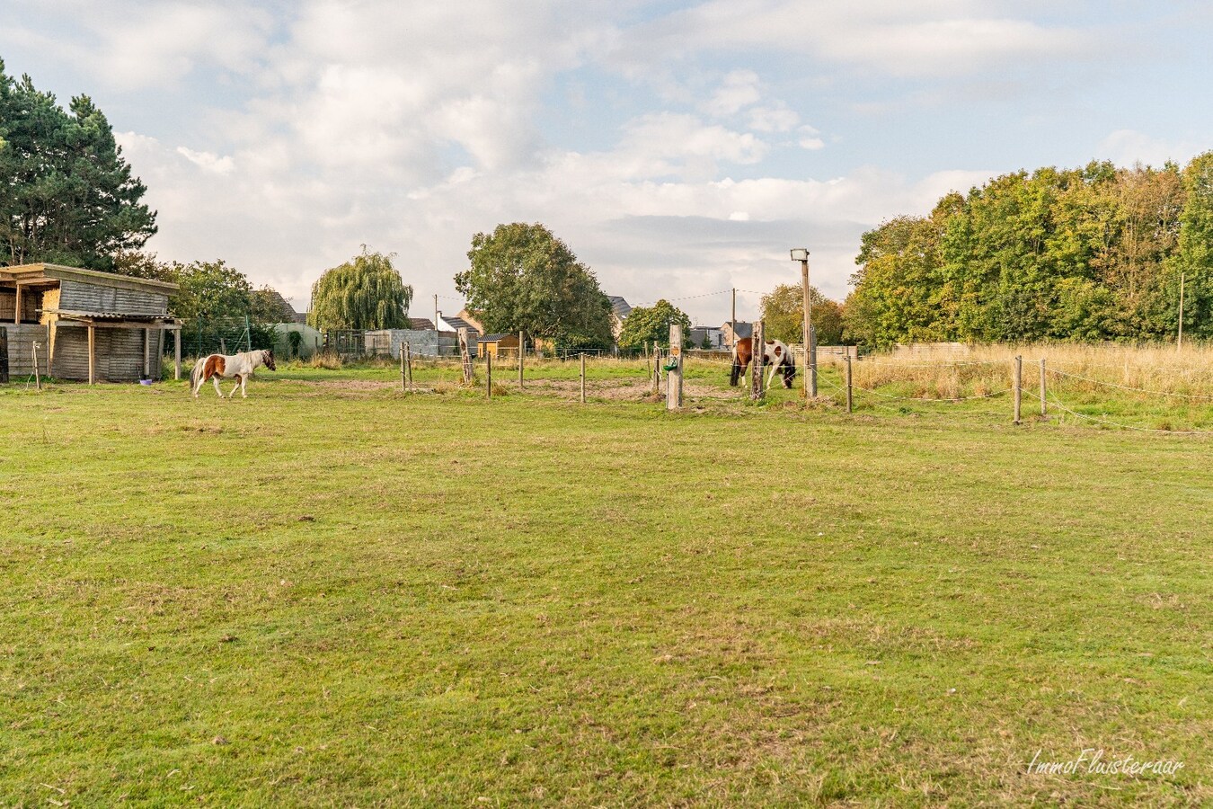 Charmante woning met stallen, buitenpiste en weide  op ca. 2 ha te OUDENBURG 