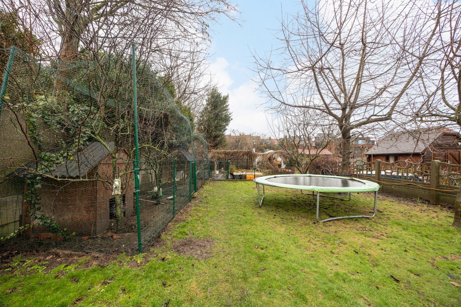 Ruime woning met praktijkruimte 