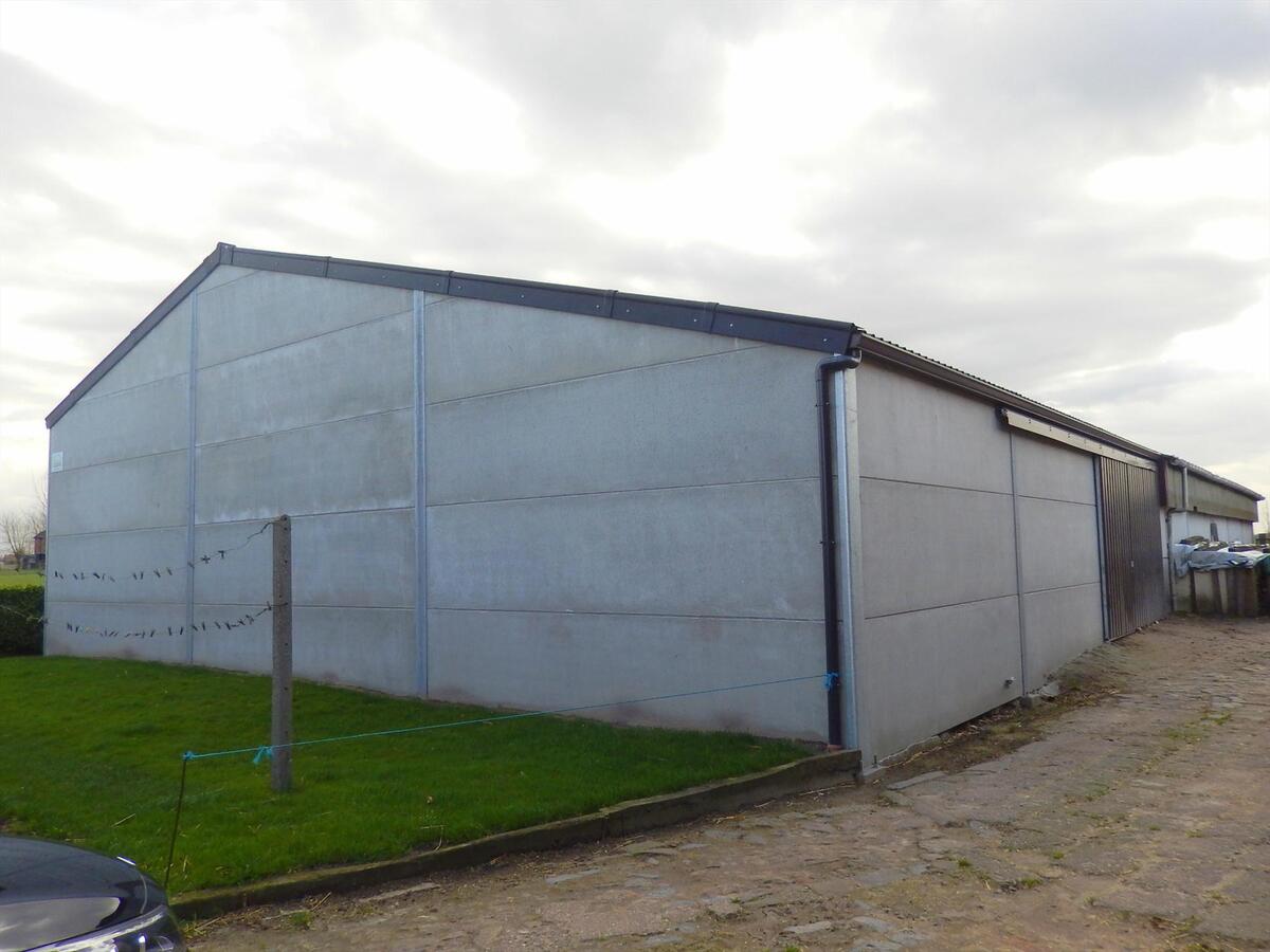 Te renoveren hoeve met stallen en weiland 