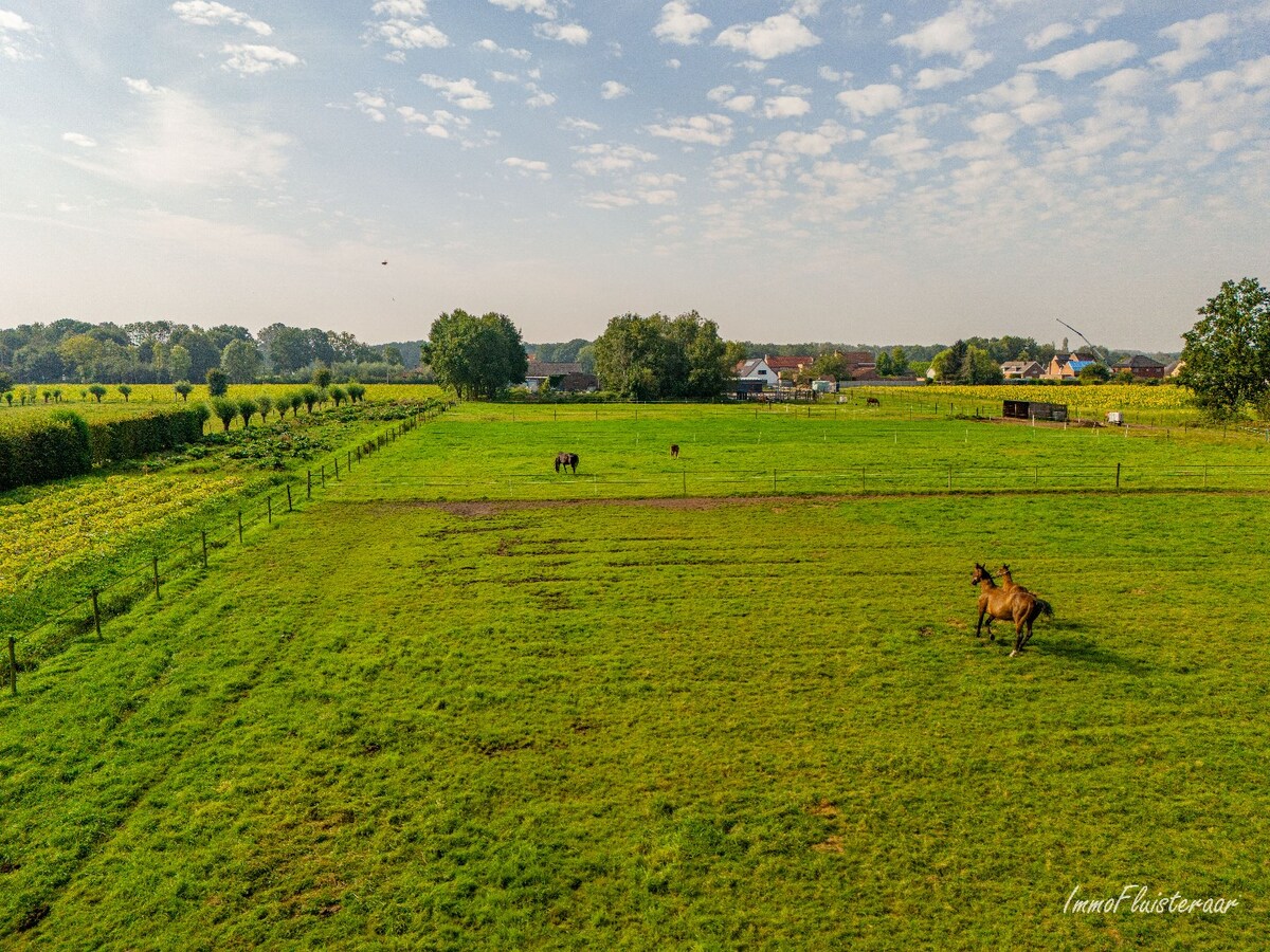 Maison semi-ouverte avec écuries, piste et prairies sur environ 1,5 ha à Sint-Katelijne-Waver (Optionnel : possibilité d'acheter une prairie d'environ 1 ha en plus) 