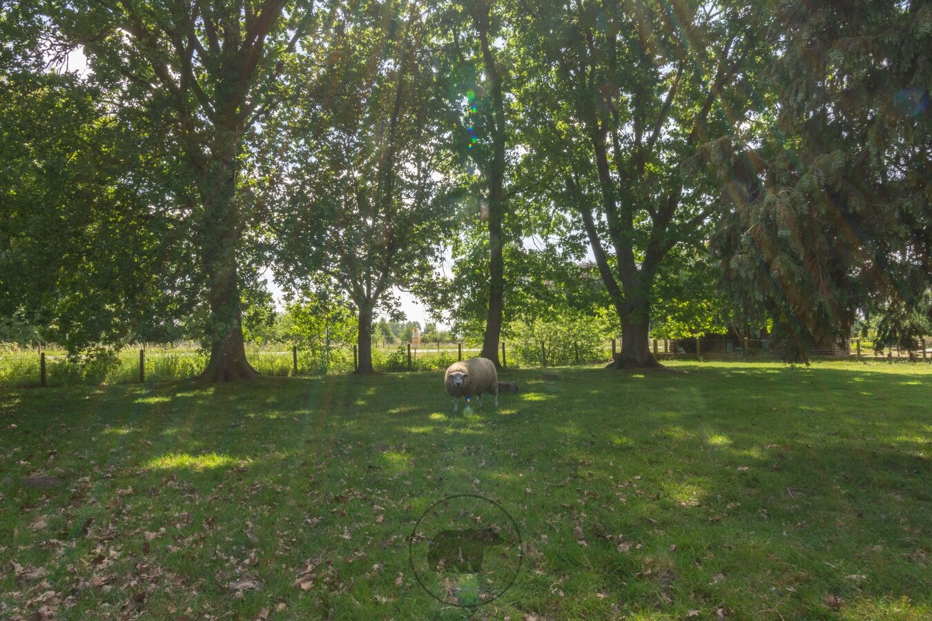 Bouwlot met achterin volwassen eiken (707m) te Lochristi 