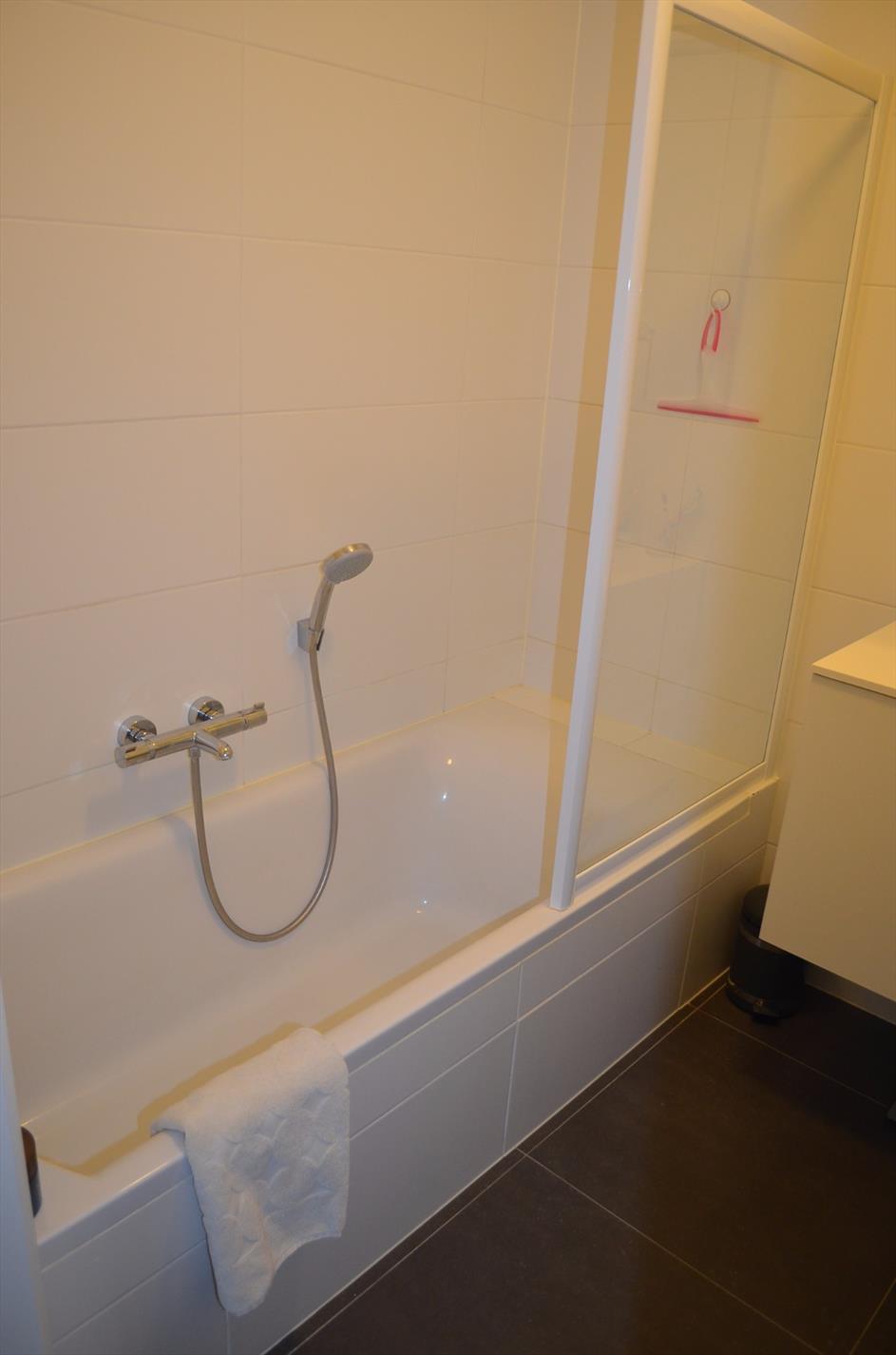 Appartement met 2 slpks, zonnig terras en parkeerplaats te Maldegem 